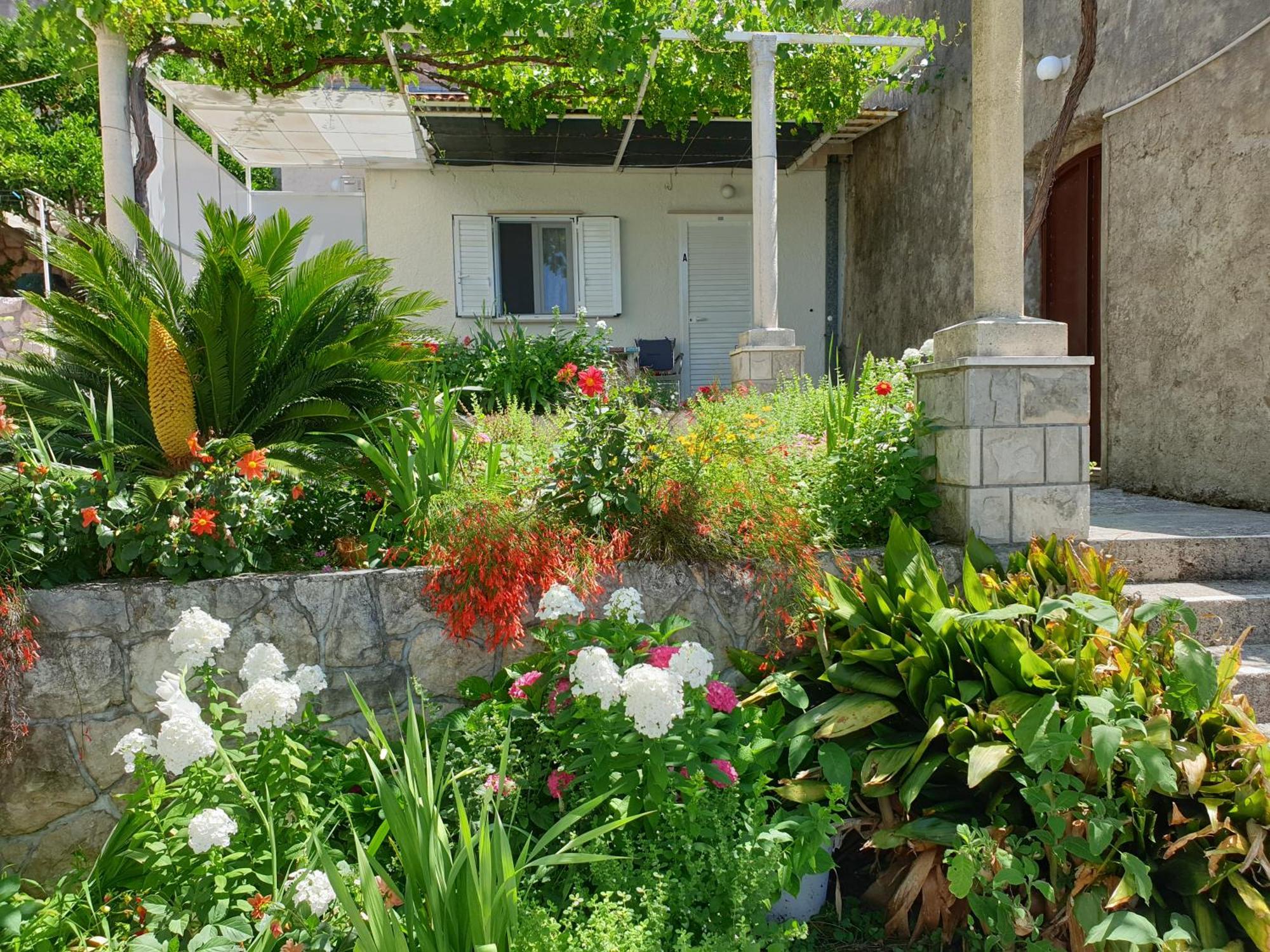 Apartments Bajo - Free Parking ดูบรอฟนิก ภายนอก รูปภาพ